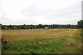 Fields Towards London Rd