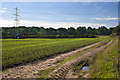 A tractor working the fields of Clay Lane farm