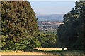 Looking through the gap, Roby Mill