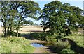 Ford through Eglingham Burn