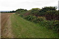 Bridleway to Ramacre Wood