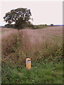 Drainage ditch by the Turvey Circular Walk