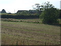 Farmland towards Little Gally Hill Farm