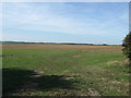 Farmland, Calcethorpe Manor Farm