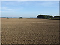 Farmland towards New Buildings