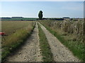 Track to Sands Farm