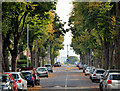 Glandore Avenue, Belfast