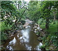 River Sid upstream from a footbridge near Sid Park Road, Sidmouth