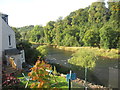 The River Clyde leaving Lanark