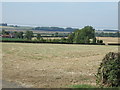 Farmland off Louth Road