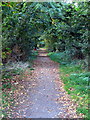 Footpath to Church End