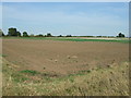 Farmland north of New York Road