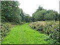 Millennium Trail through the Riverside Garden Park