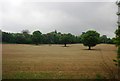 Farmland near Godstone