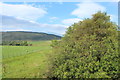 Farmland at South Balloch