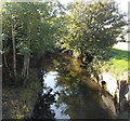 Afon Lliw south of Loughor Road Kingsbridge