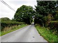 H0913 : Road near Derrinkeher (McDonnell) by Kenneth  Allen