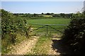 Field entrance near Lutworthy