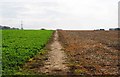 Public footpath to Stanklyn Lane, near Spennells, Kidderminster