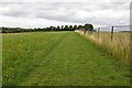 SP4305 : Countryside walk by the fence by Steve Daniels