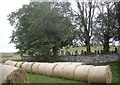 NJ4627 : Walled graveyard at Essie by Stanley Howe