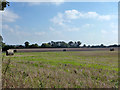 TG2634 : Fields south of Southrepps Common by Robin Webster