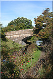 NT0875 : Bridge 33 in Autumn by Anne Burgess