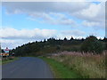 NY6986 : Approaching the junction for Elf Kirk Viewpoint by Barbara Carr