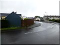 Road at Edinburgh Park, Omagh