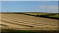 Straw and stubble rows