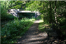 NT0876 : A Bridge and a Bench by Anne Burgess