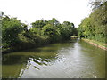 Grand Union Canal: Reach in Simpson