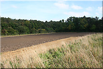 NT0676 : Field at Cockmuir by Anne Burgess