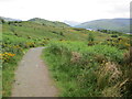 Footpath on Cow Hill