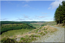 SN8055 : Forestry road and Cwm Tywi, Powys by Roger  D Kidd