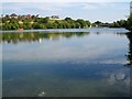 Lodge Farm Reservoir