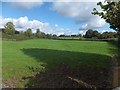 Field beside the A38 near Caton and Goodstone