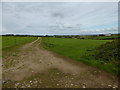 Farm track near Brunnion