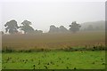 Field near Cliffe Bank