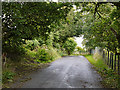 The Haweswater road south of Naddle Gate