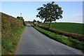 Country road near Berth-Fawr