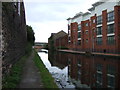 Birmingham Canal, Wolverhampton Level