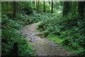 Ford on Footpath at Luckett