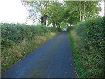 R5746 : An Irish lane by Neville Goodman