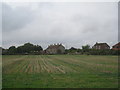 Houses at Whitgift