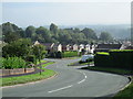 Wallbridge Drive, Leek