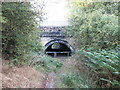 Path under the railway near Pool Ings, Royston