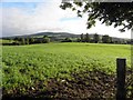 Byturn Townland