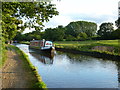 Evening on the Llangollen Canal, south of Gledrid Bridge