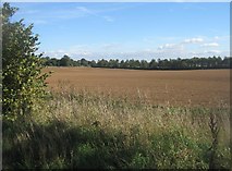 SU5754 : Fields south of Manor Farm by Mr Ignavy